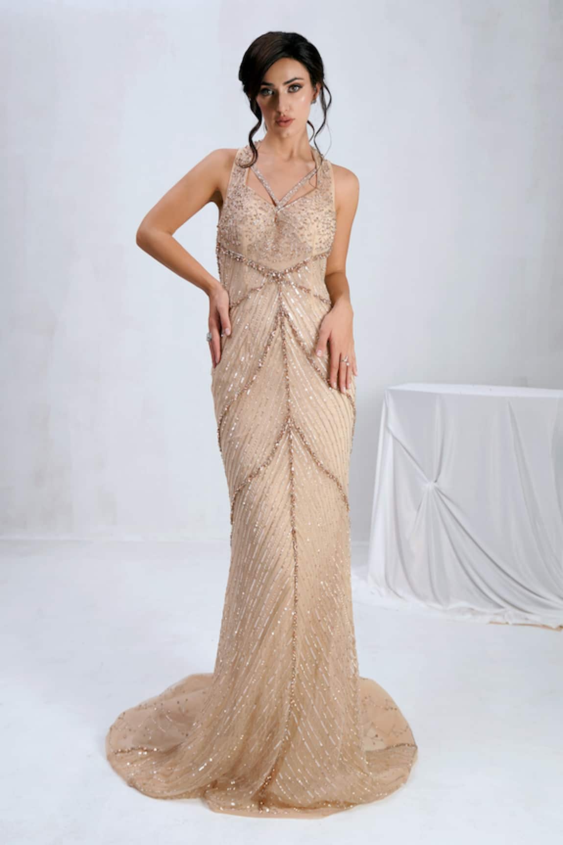 Shourya Gatha Crystal Dune Gown 