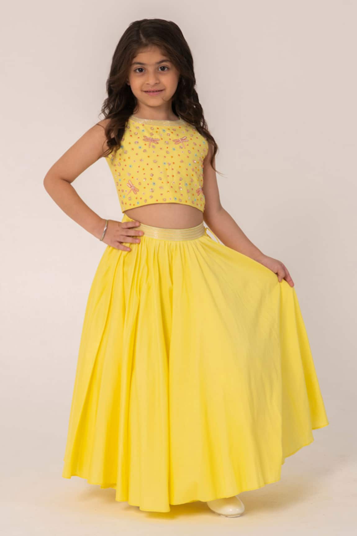 Partykles Dragonfly Embroidered Crop Top & Skirt Set