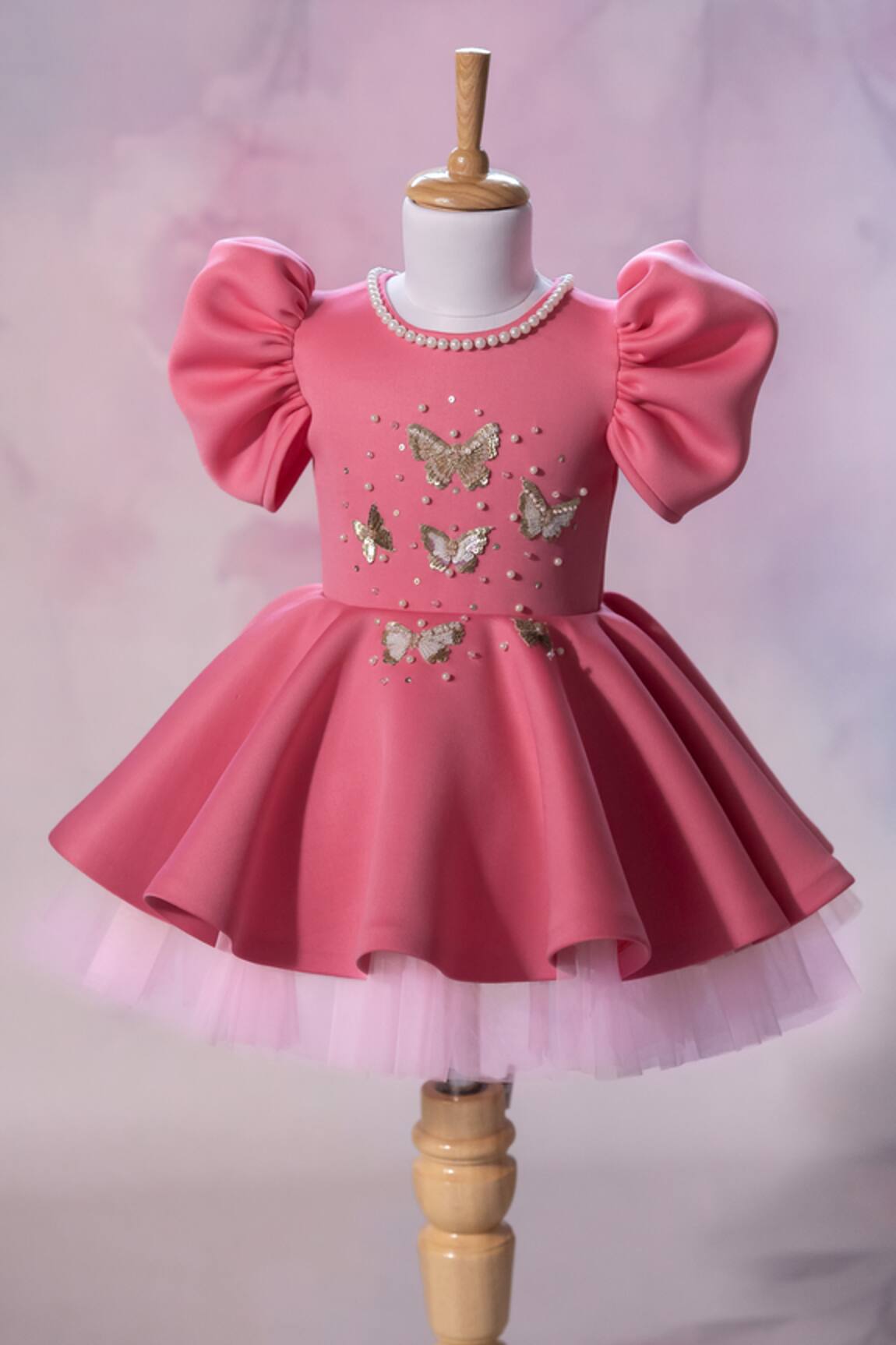 Ruchika Lath Label Puff Sleeve Butterfly Embroidered Dress