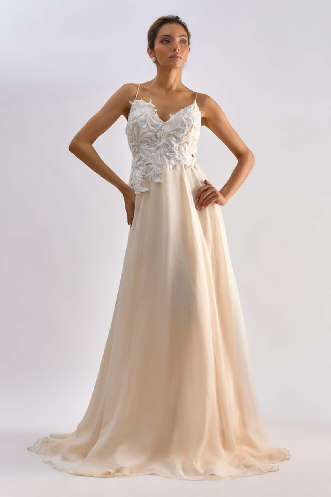 Emblaze Organza Hand Embroidered Gown 