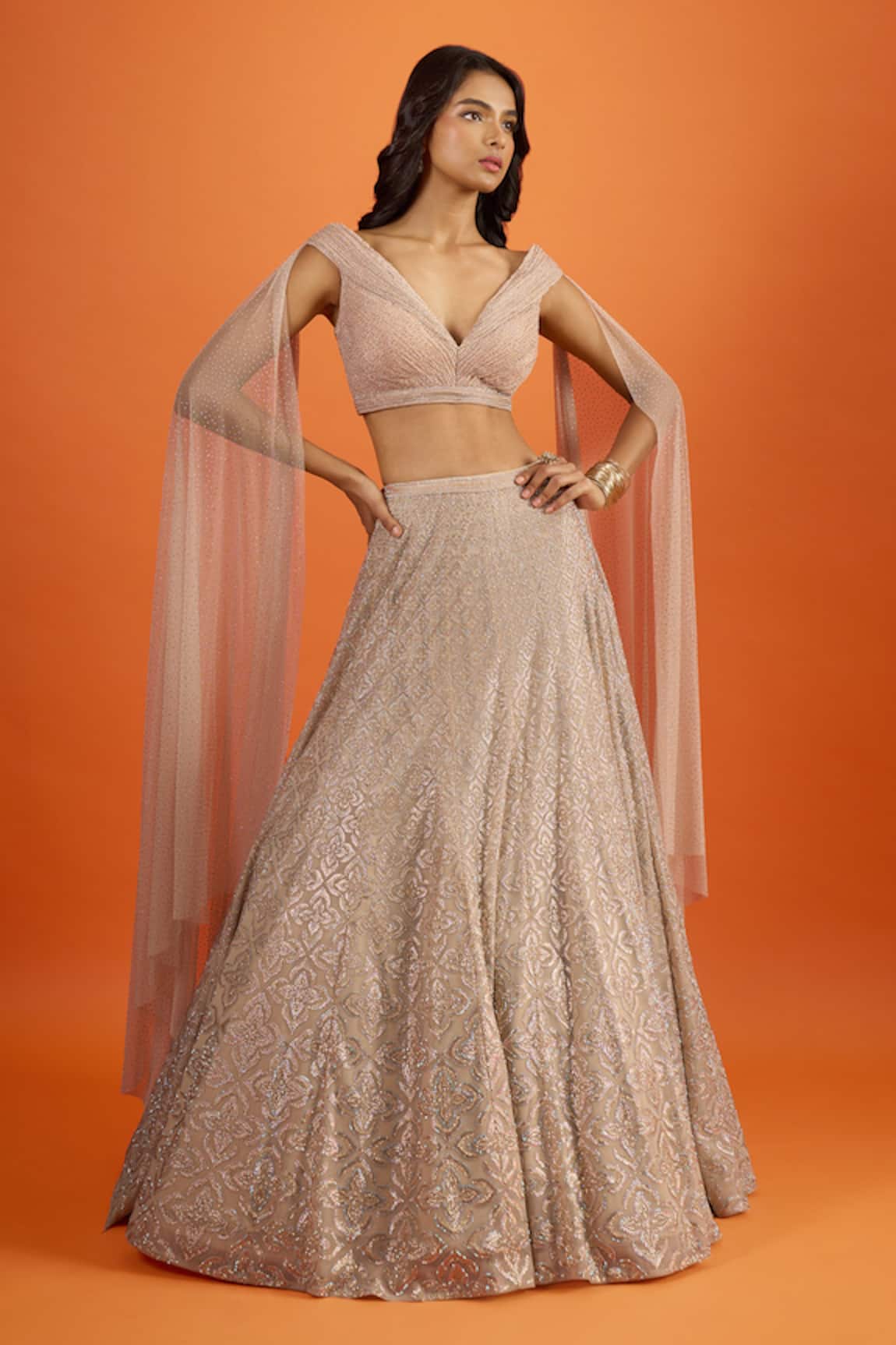 Seema Gujral Embroidered Blouse & Lehenga Set 