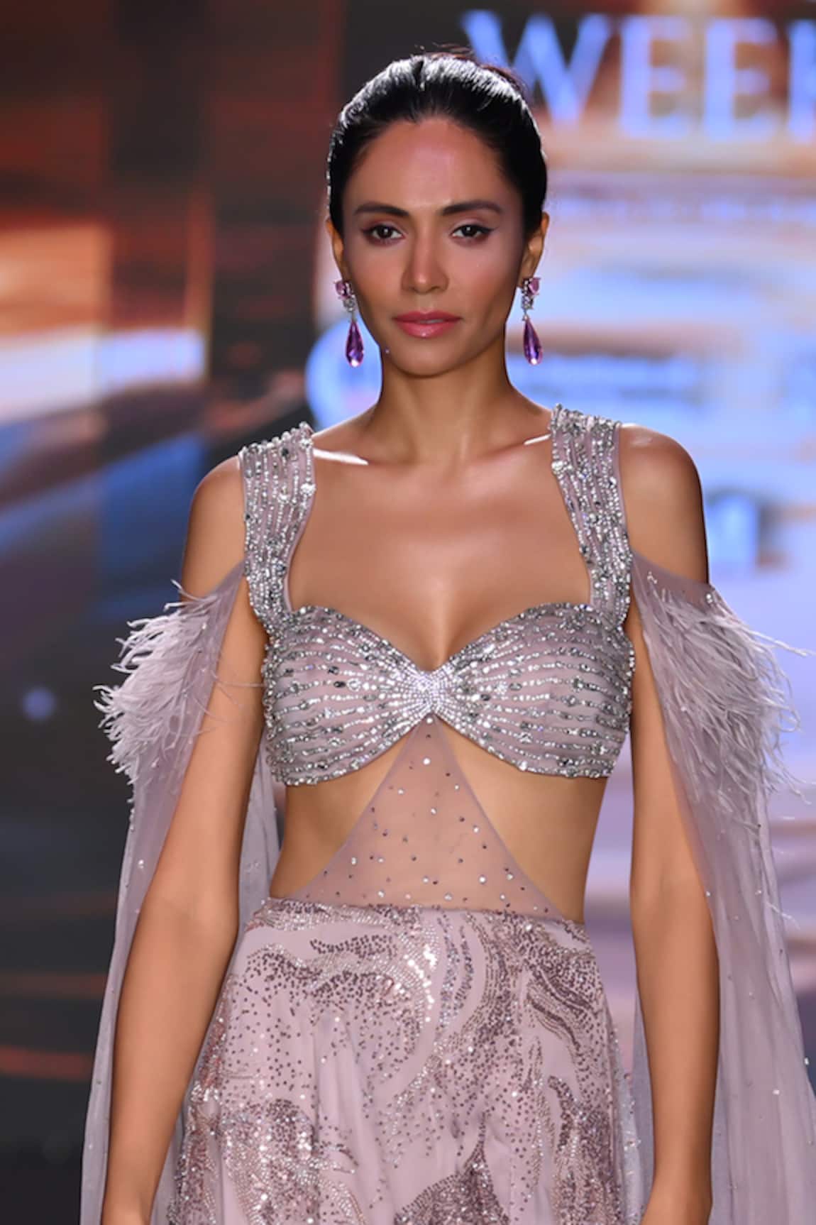 Tisharth by Shivani Feather Embellished Bralette 