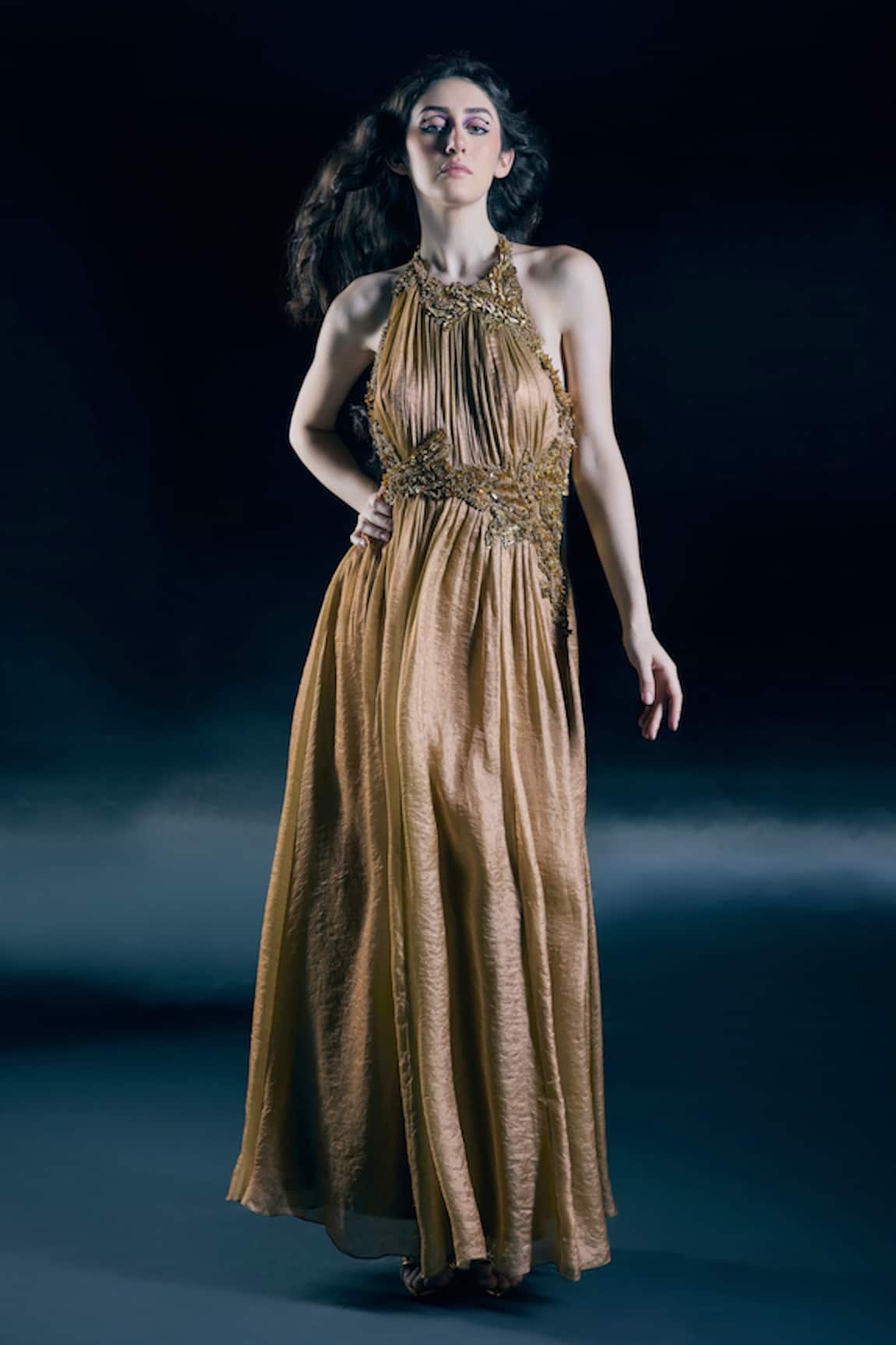 Nirmooha Solar Gold Embroidered Gown 