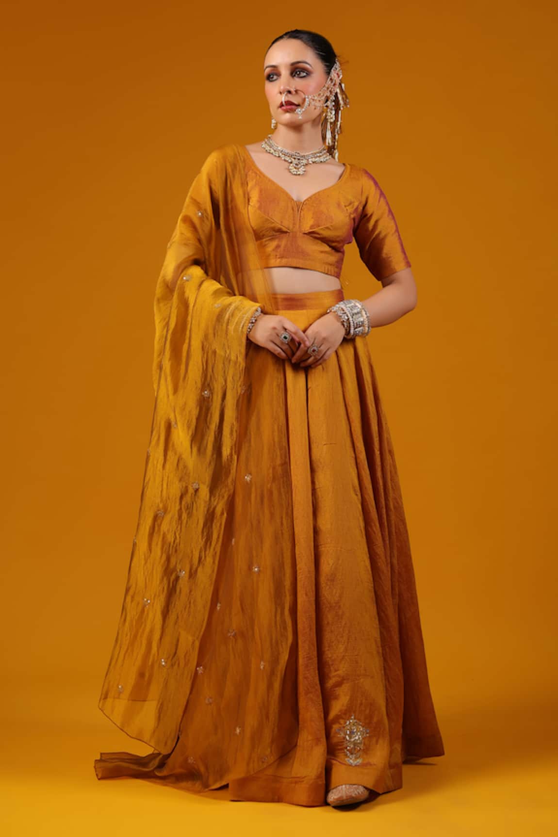 Baaro Masi Cut Dana Embroidered Lehenga Set 