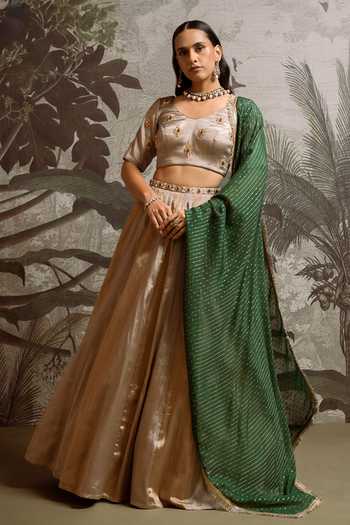 Parshya Stone Hand Embroidered Lehenga Set