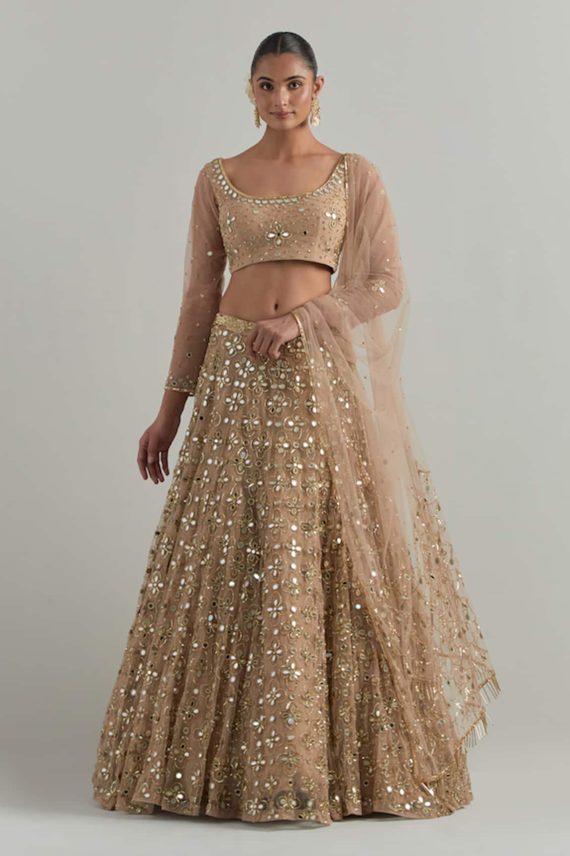 Ikshita Choudhary Beige Hand Embroidered Net Lehenga Set 