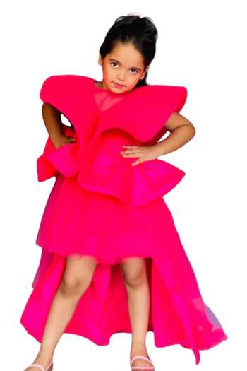 Pinkcow designs pvt ltd Layered Ruffle Pleated Gown 