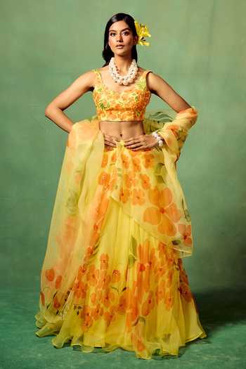 Meghstudio Saanjh Hand Painted Lehenga Set 