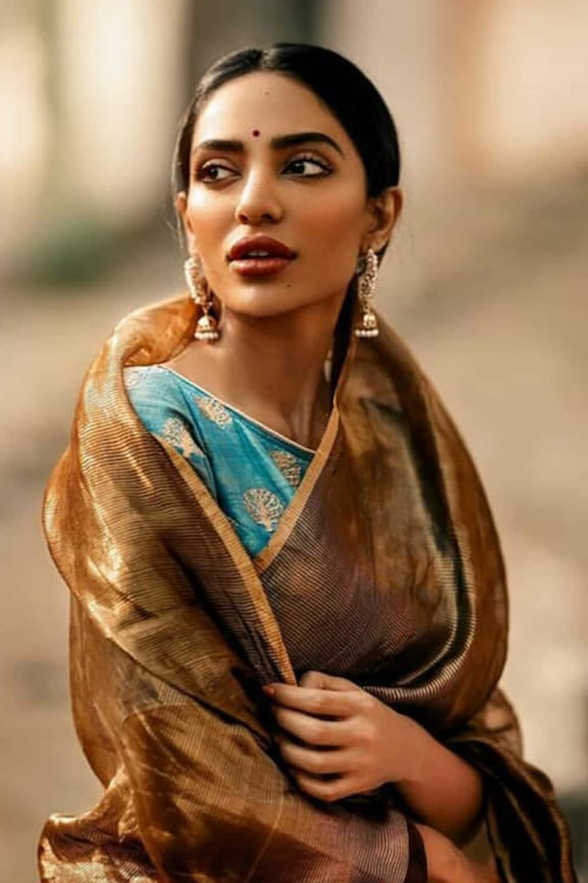 Dot Striped Chanderi Saree 