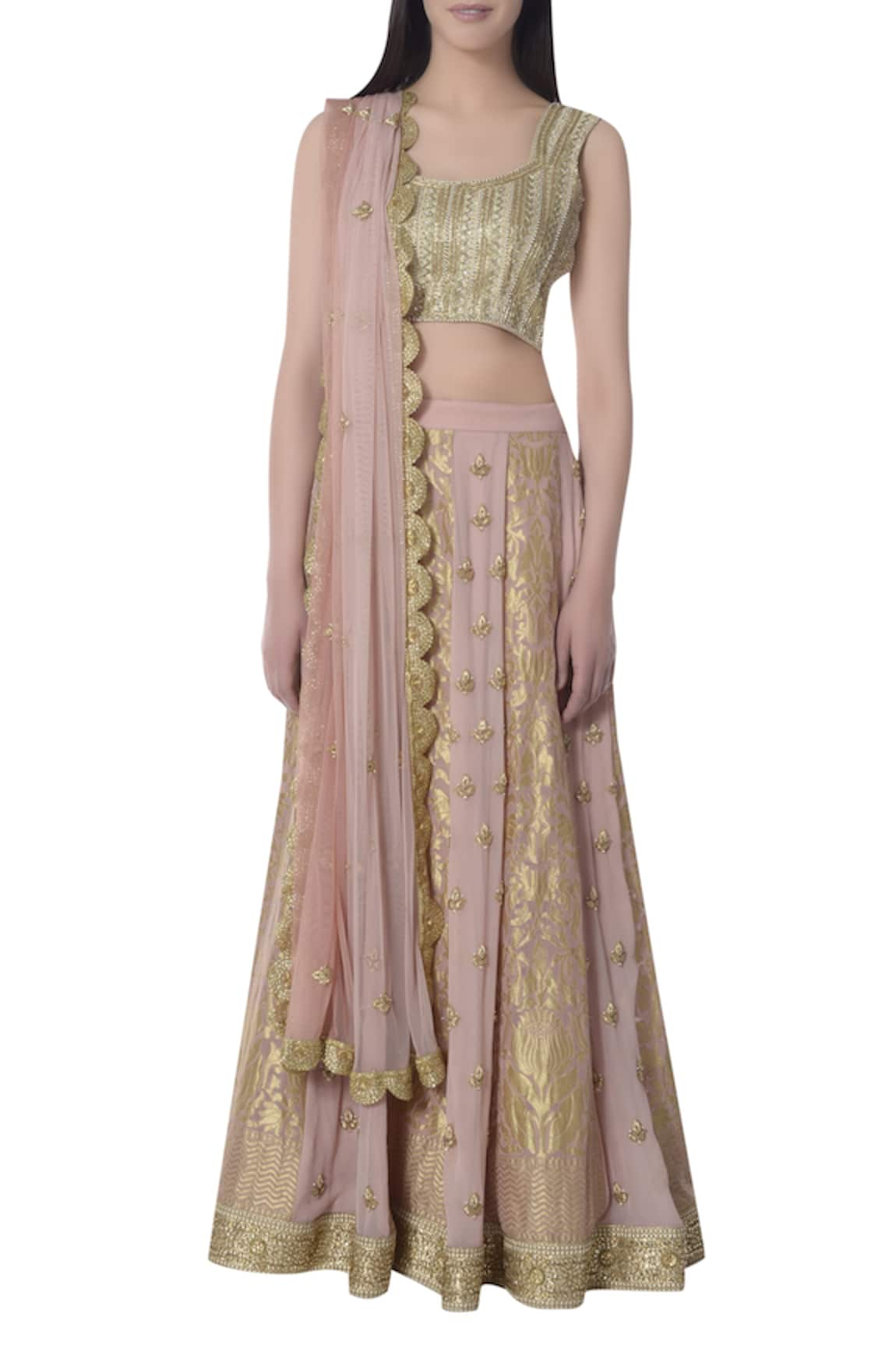 Bhumika Grover Banarasi Embroidered Lehenga Set