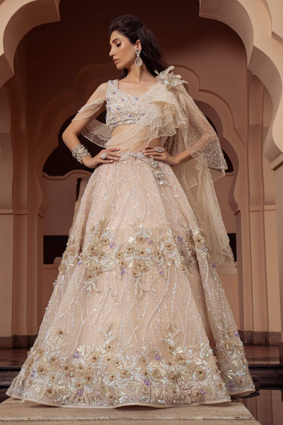 Amit GT Aurora Cosmos Embroidered Lehenga With Blouse