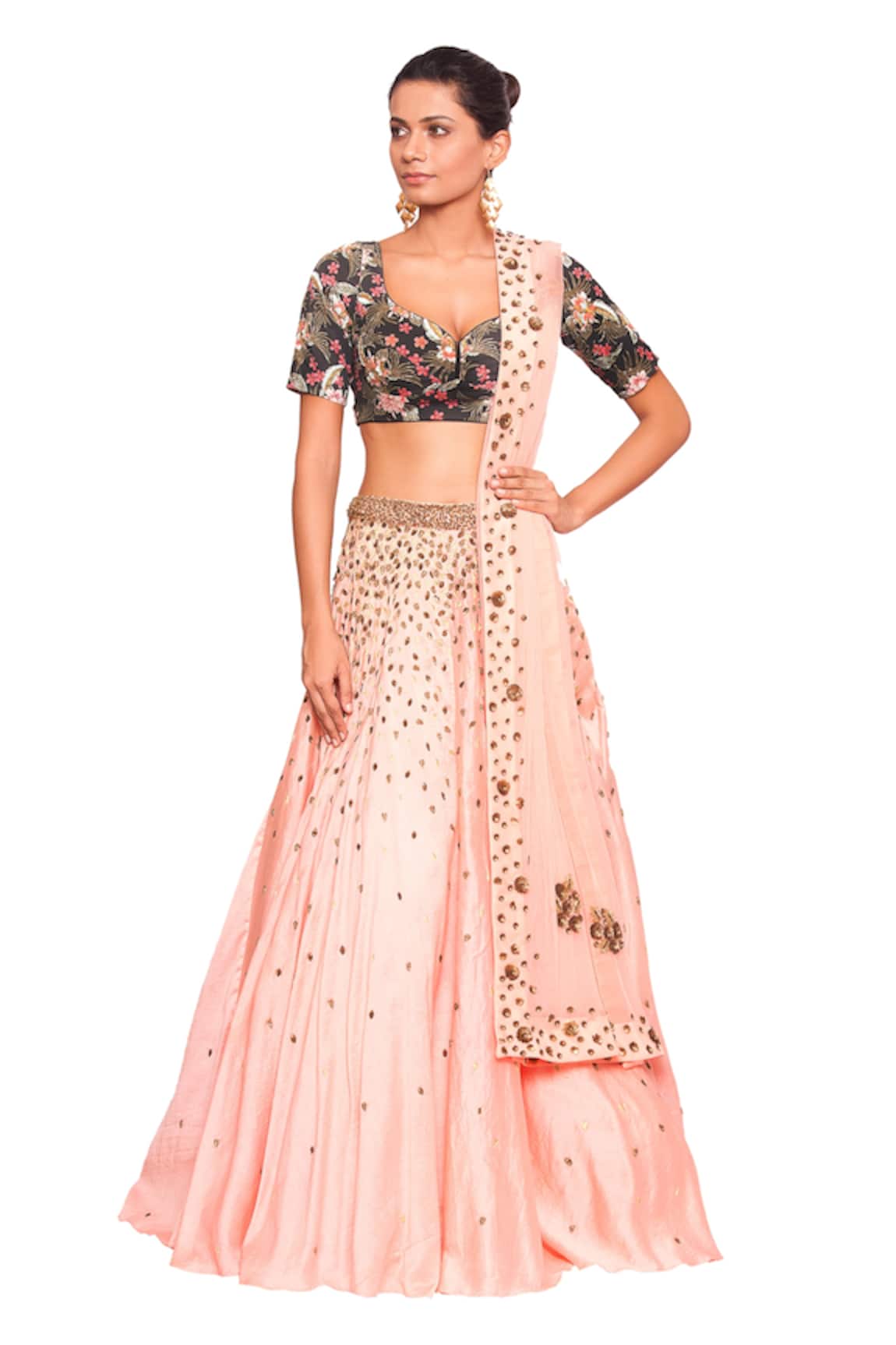 Salt And Spring Leaf Embroidered Lehenga Set