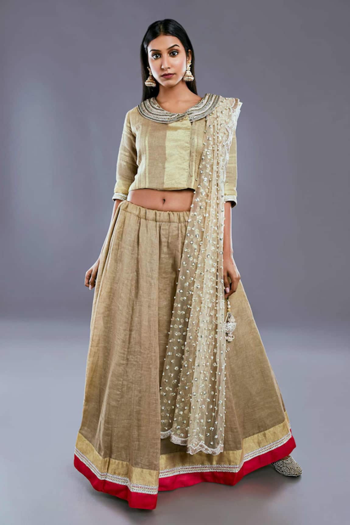 Divya Kanakia Lehenga Set With Sequins Embellished Dupatta 