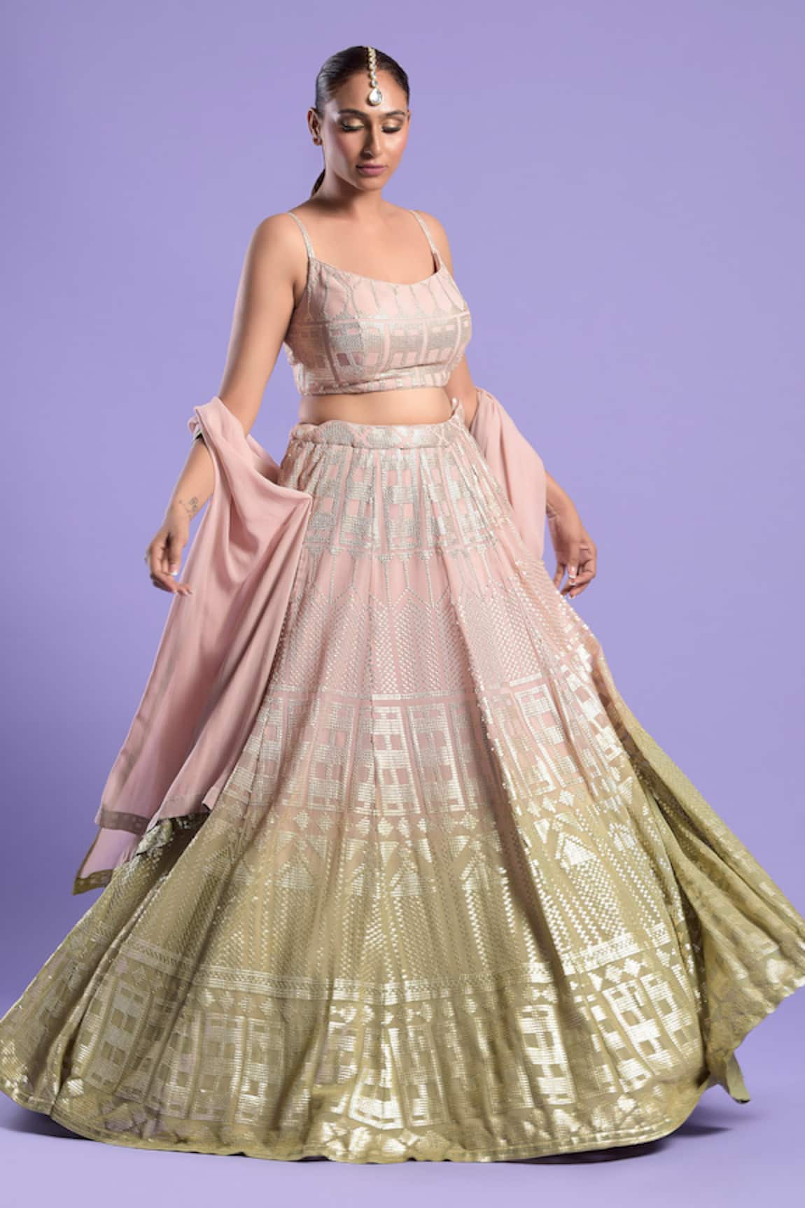 Two Sisters By Gyans Organza Embroidered Lehenga Set