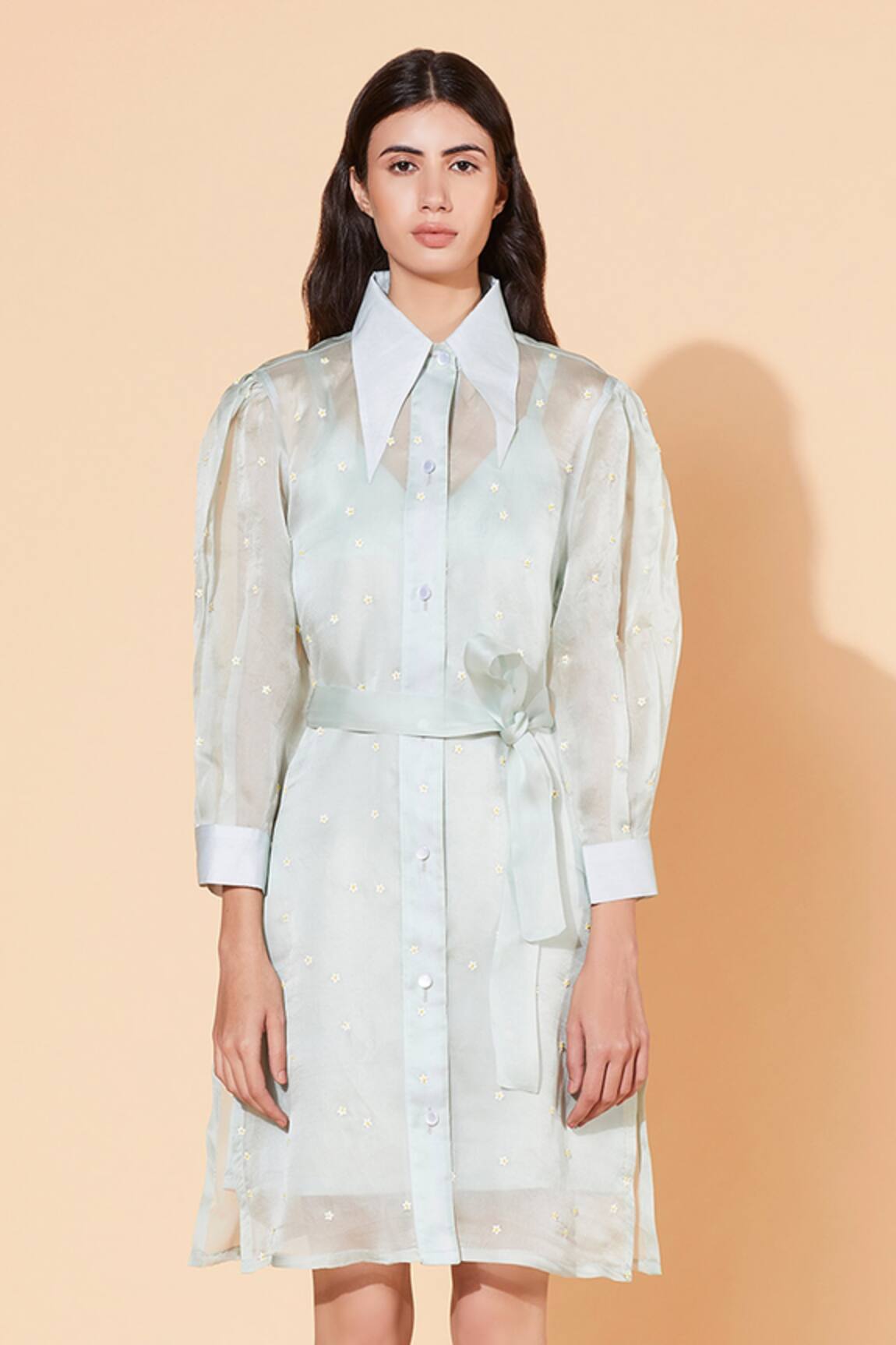 Meadow Silk Organza Shirt Dress