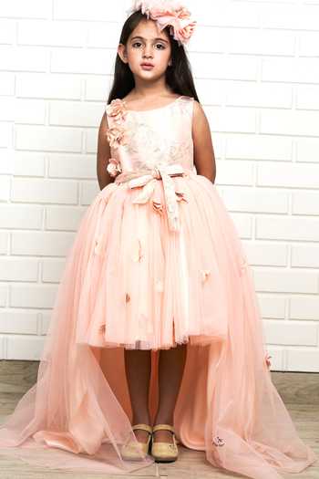 Pinkcow designs pvt ltd Embroidered Cape Gown  