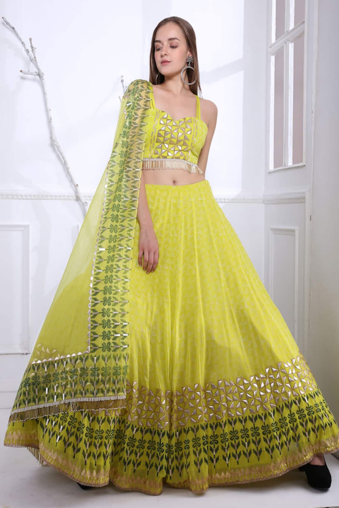 Pooja Rajgarhia Gupta Printed Lehenga Set 