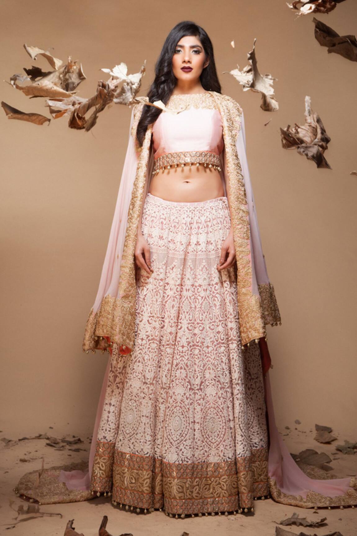 Jyoti Sachdev Iyer Embroidered Lehenga & Cape Set