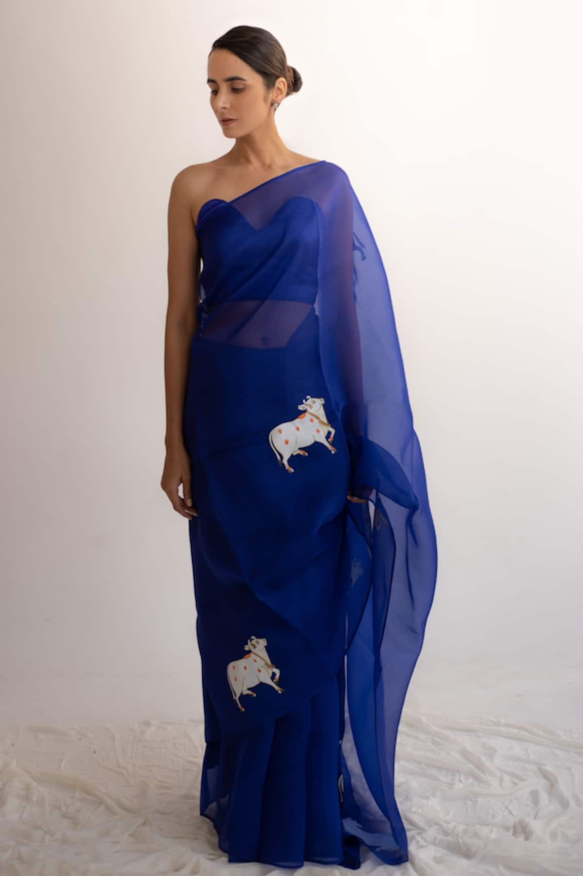 Kapardara Silk Organza Hand Painted Saree