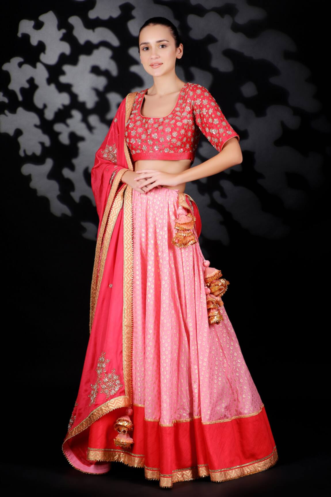 Nikasha Printed Lehenga & Embroidered Blouse Set 