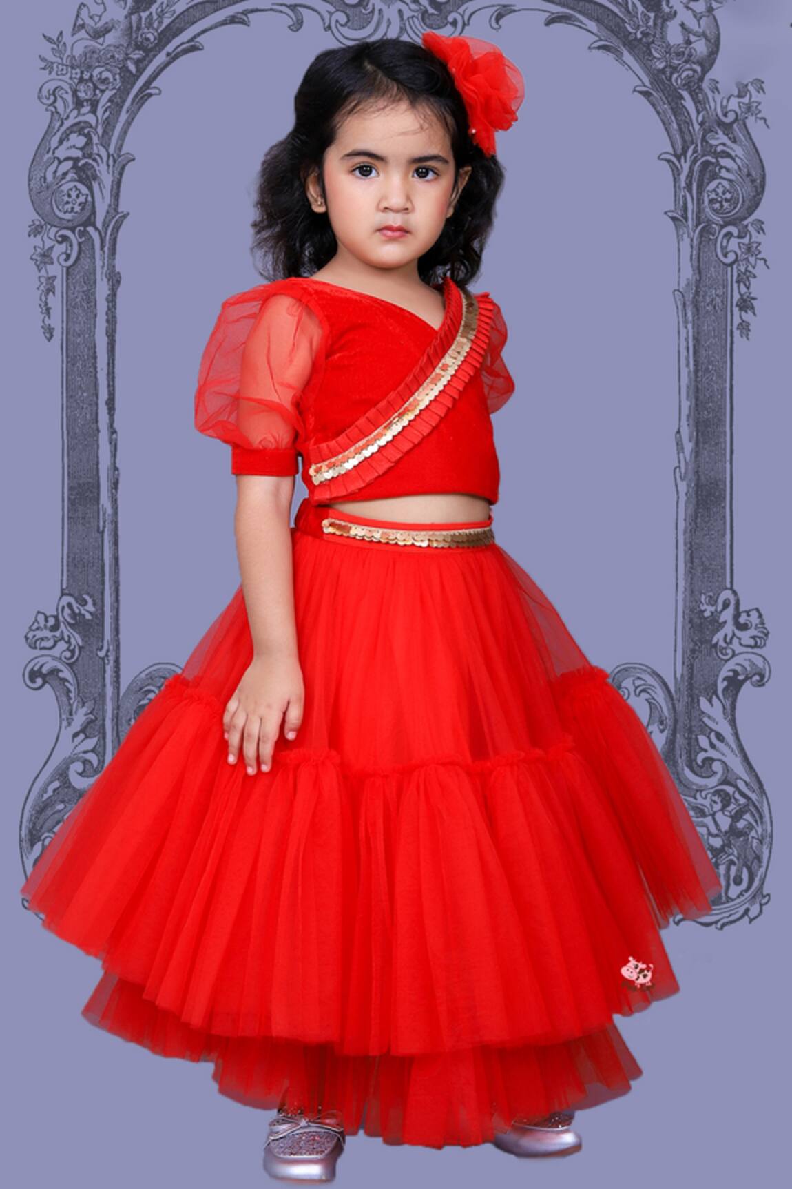 Pinkcow designs pvt ltd Pleated Choli & Layered Lehenga