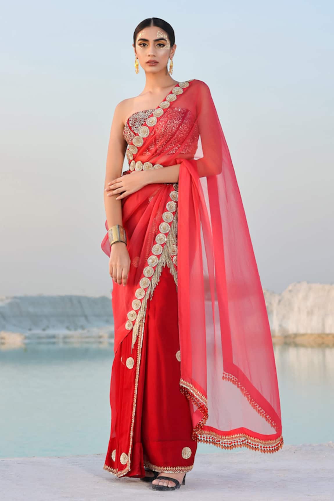 Pallavi Jaipur Embroidered Saree with Blouse