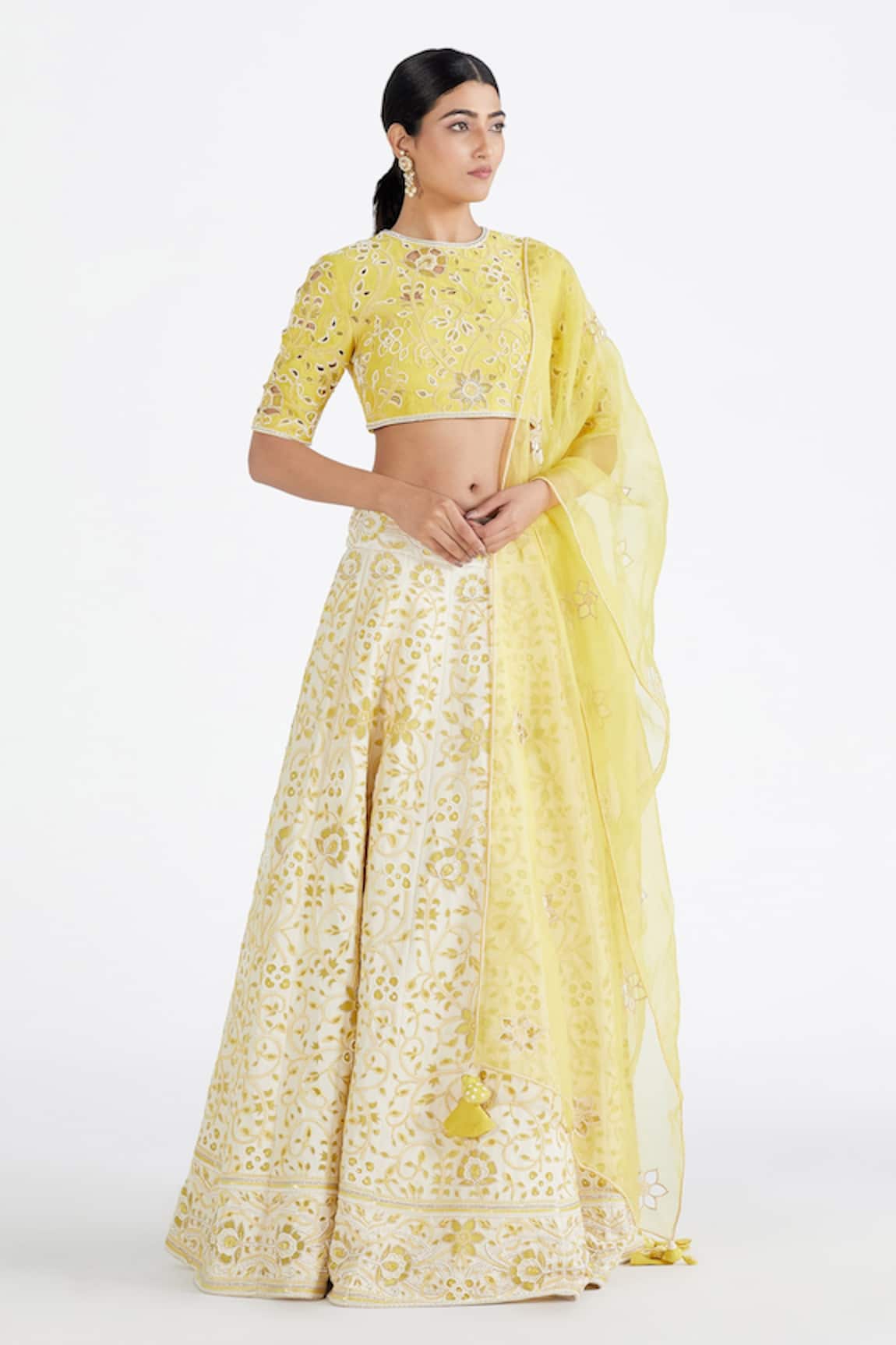 Megha Bansal Floral Applique Work Bridal Lehenga Set 