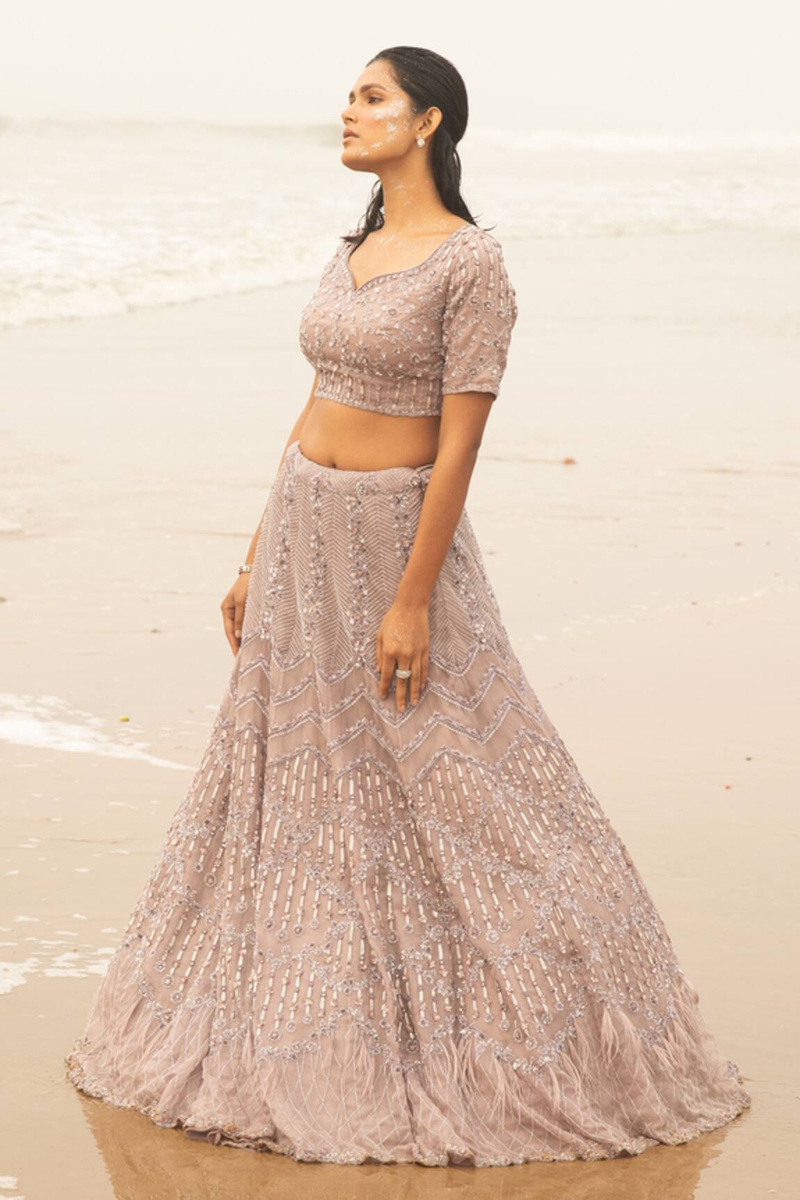 Decemberbyvivek Embroidered Lehenga Set