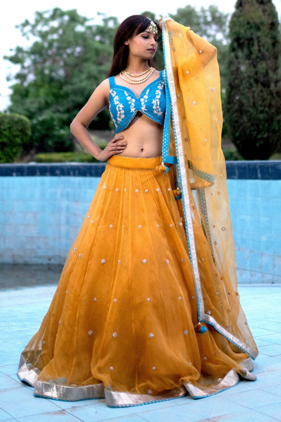 Tanu Malhotra Embroidered Lehenga Set 