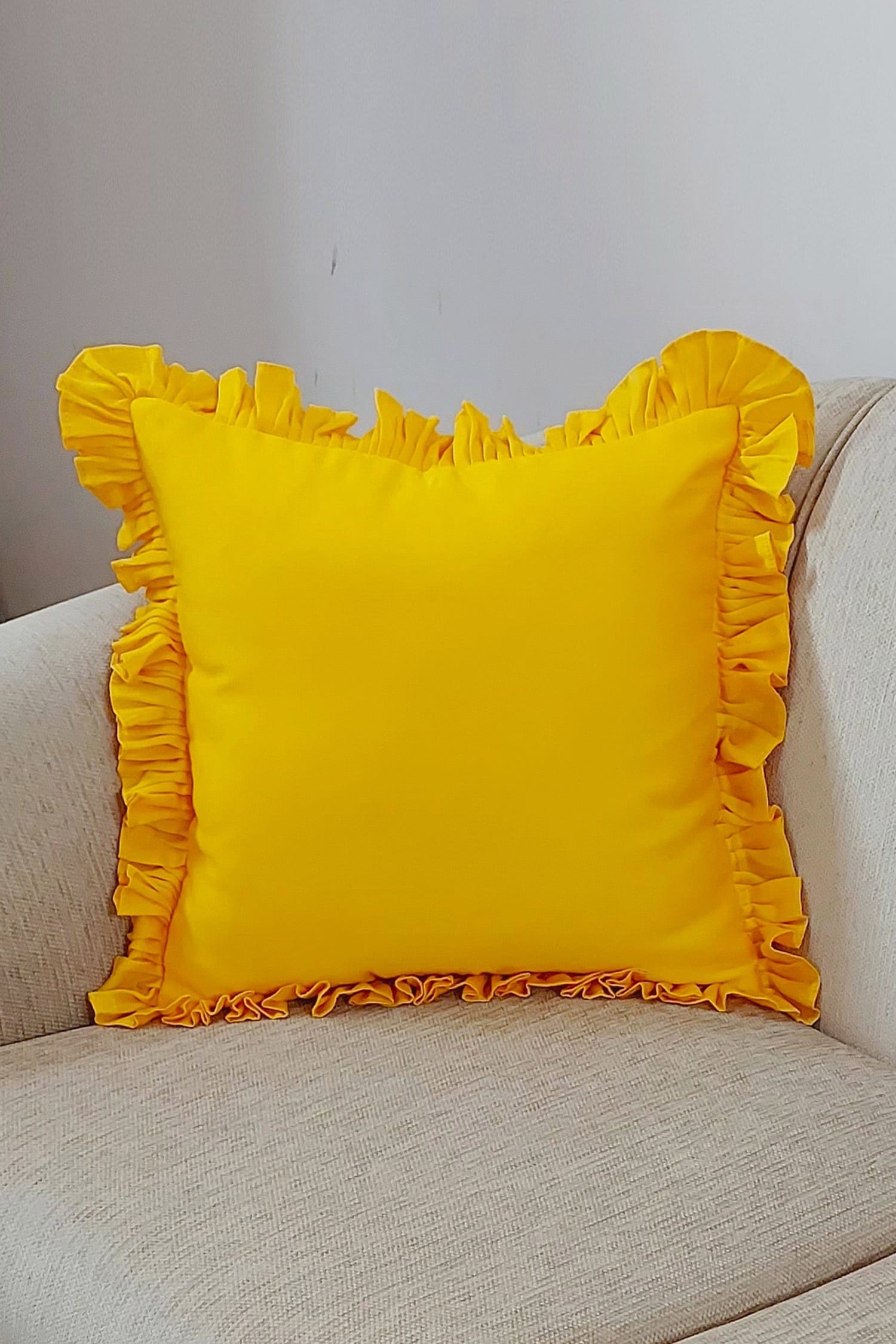 Buy Throwpillow Ruffle Border Cushion Cover Online Aza Fashions