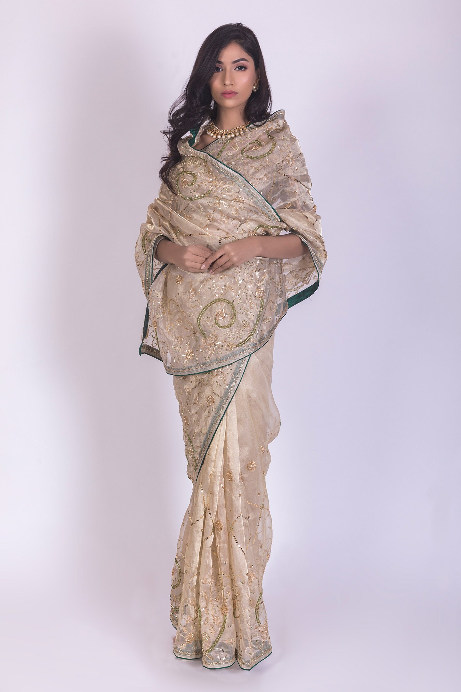 Ruar India Beige Tissue Embroidered Saree With Blouse