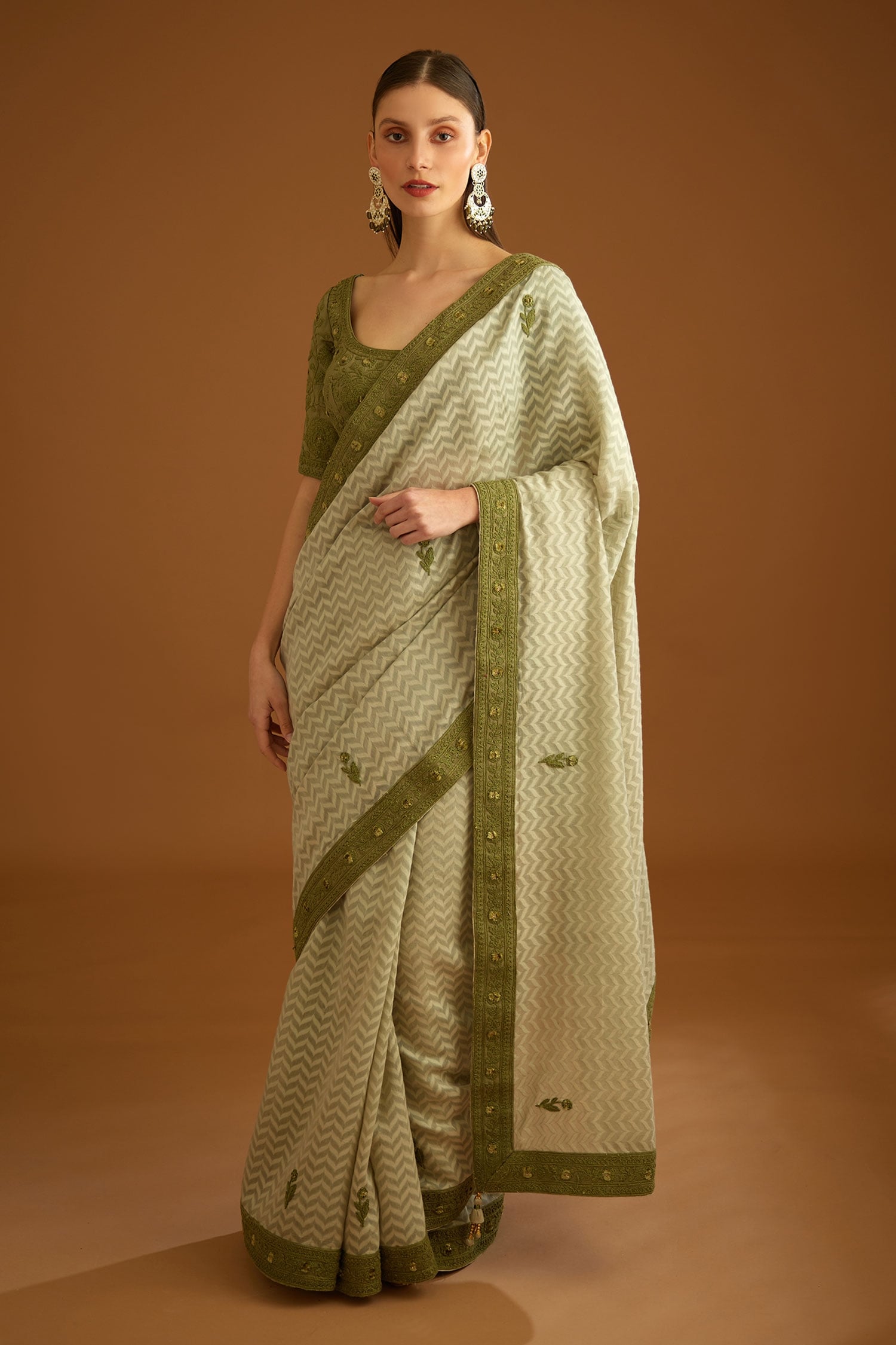 Shyam Narayan Prasad Green Chanderi Jacquard Saree With Embroidered Blouse