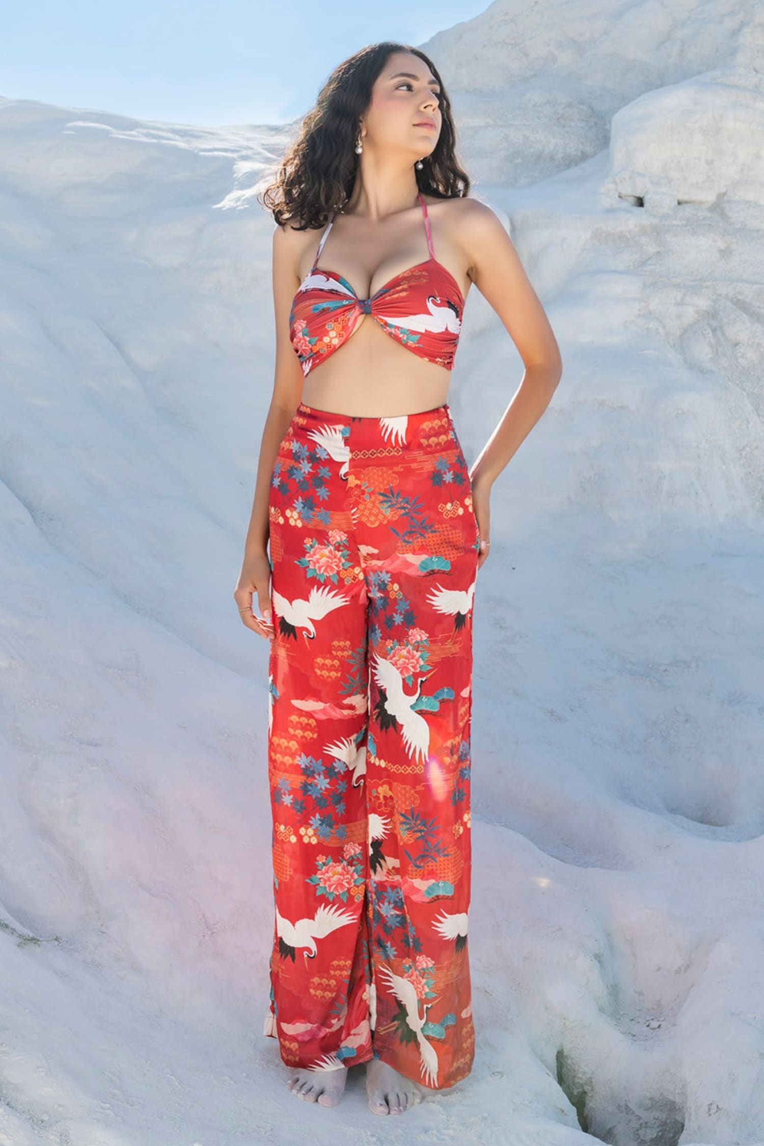 Wide-leg Twill Pants - Red/floral - Ladies | H&M US