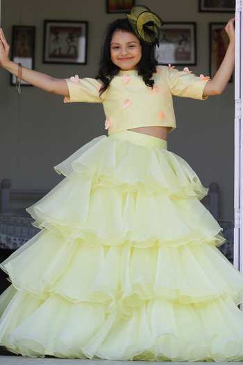 Janya Lehenga Set main image 1