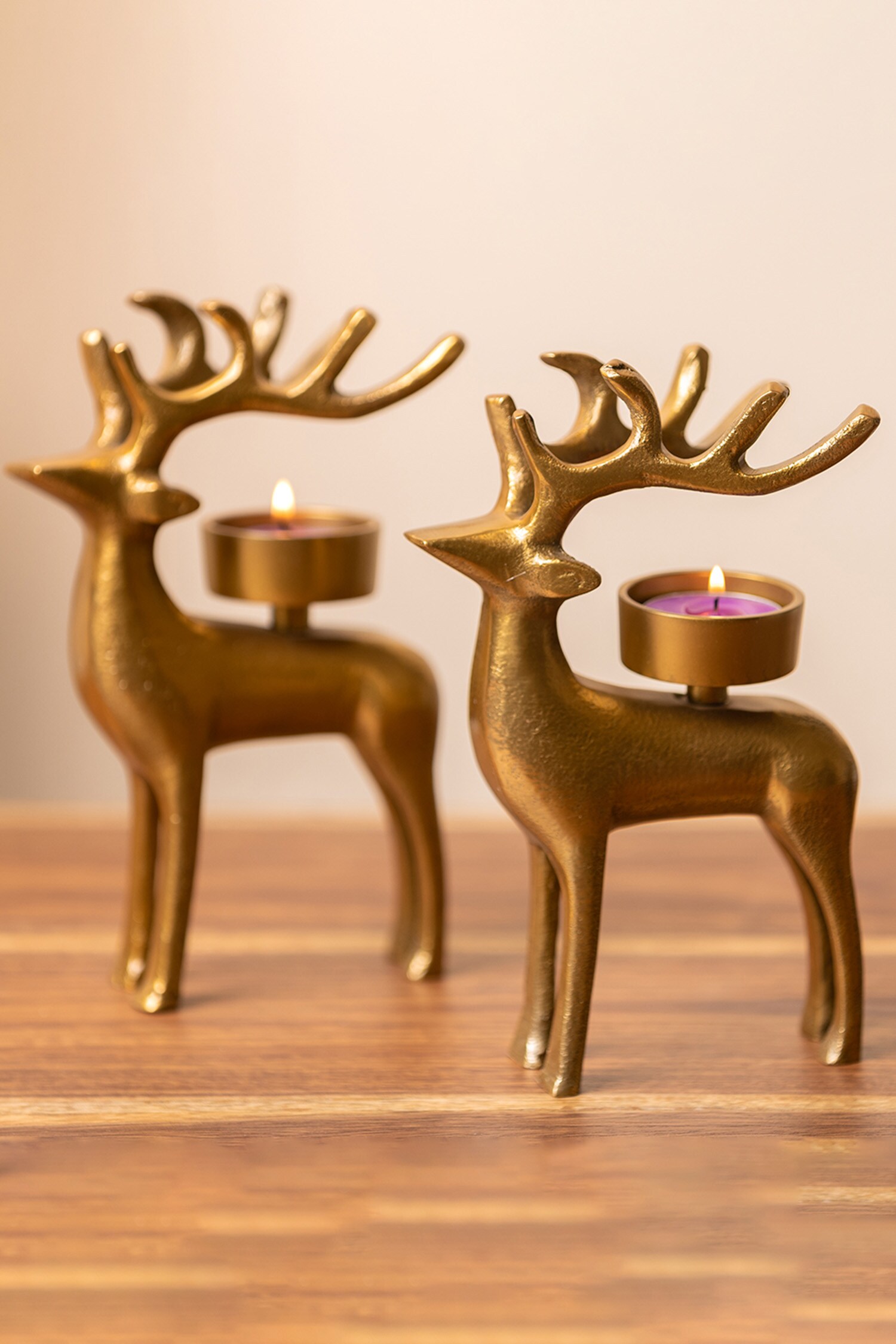 S.G. Home Gold Metal Stag Tea Light Holder Single Pc