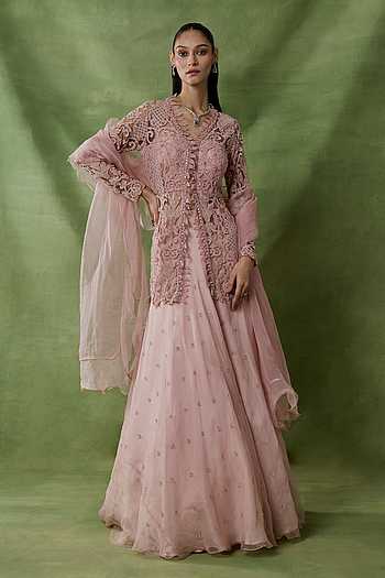 Buy Pink Organza, Net Embroidery, Beads, Sequins Grain Chitta