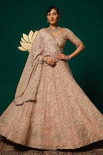 Embroidered Shimmer Tissue Lehenga Set