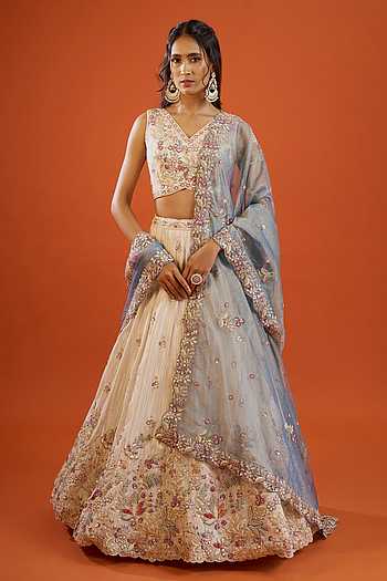 Tissue Lehenga & Blouse Set 