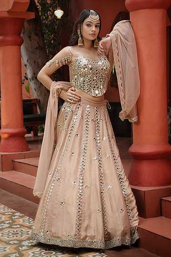 Pure Silk Tissue Lehenga Set