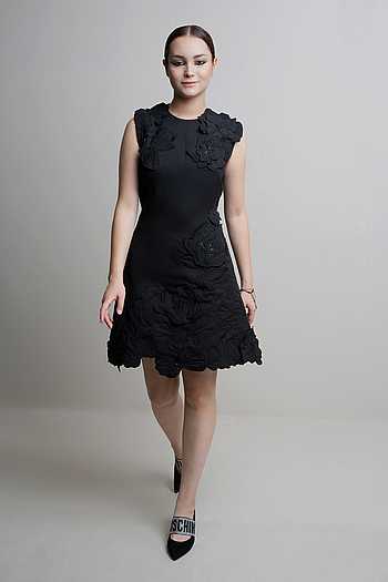 3D Floral Embroidered Dress