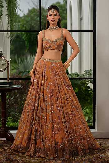 Rudra Embroidered Lehenga Set