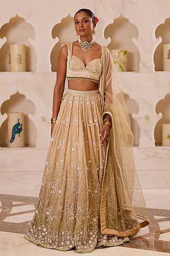 Dhaani Hand Embroidered Lehenga Set