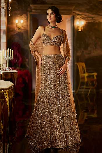 Crystal Embroidered Mermaid Lehenga Set
