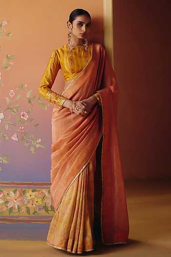 Soni Phulkari Print Saree & Blouse Set