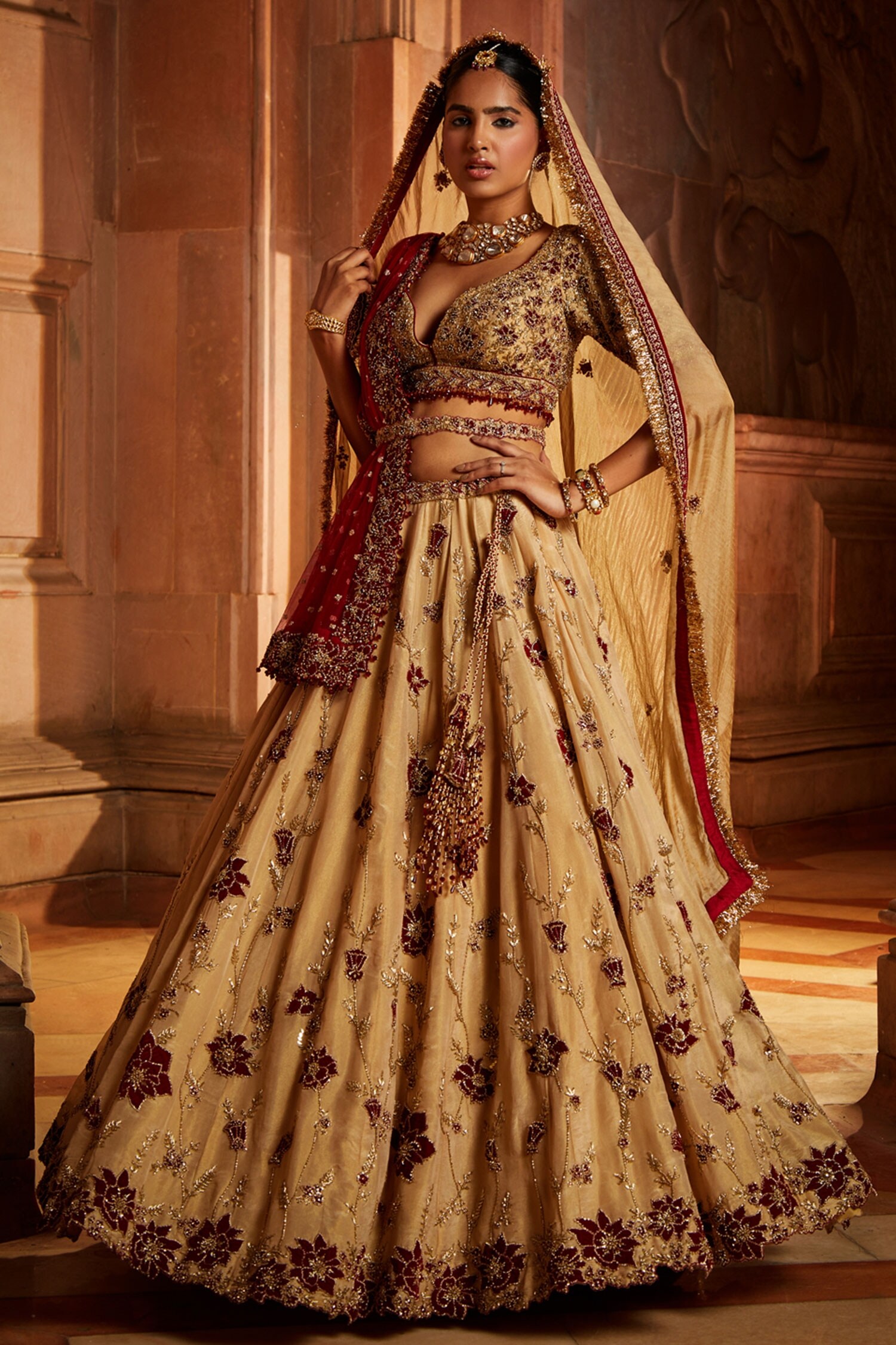 Light Brown - Fully Embroidered V neck Saree / Lehenga blouse - With C –  Prachy Creations
